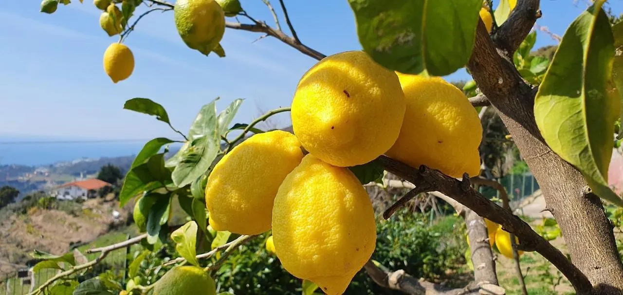 Agriturismo Sant'Anna Villa Sanremo