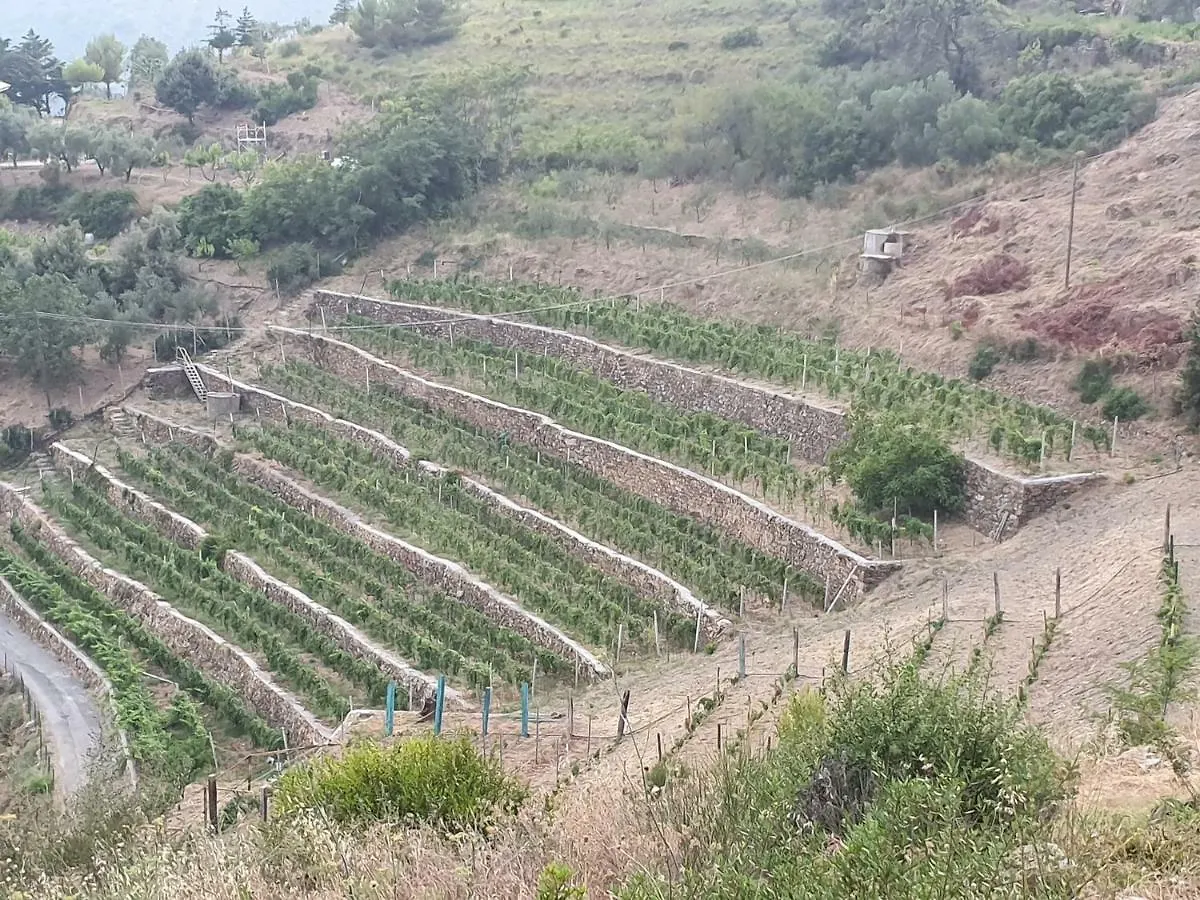 Agriturismo Sant'Anna Villa Sanremo Farm stay