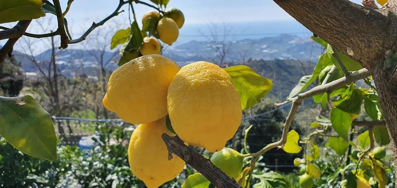 Agriturismo Sant'Anna Villa Sanremo 0*,  Italy