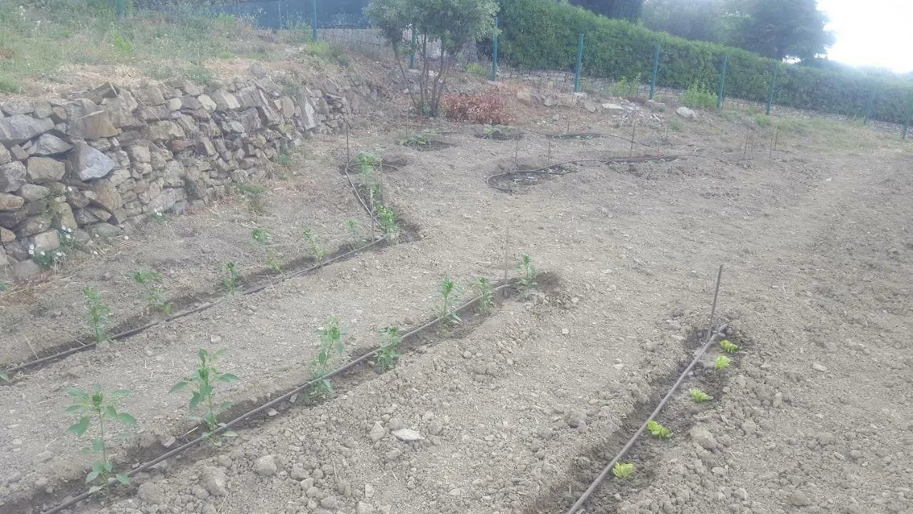 Farm stay Agriturismo Sant'Anna Villa Sanremo