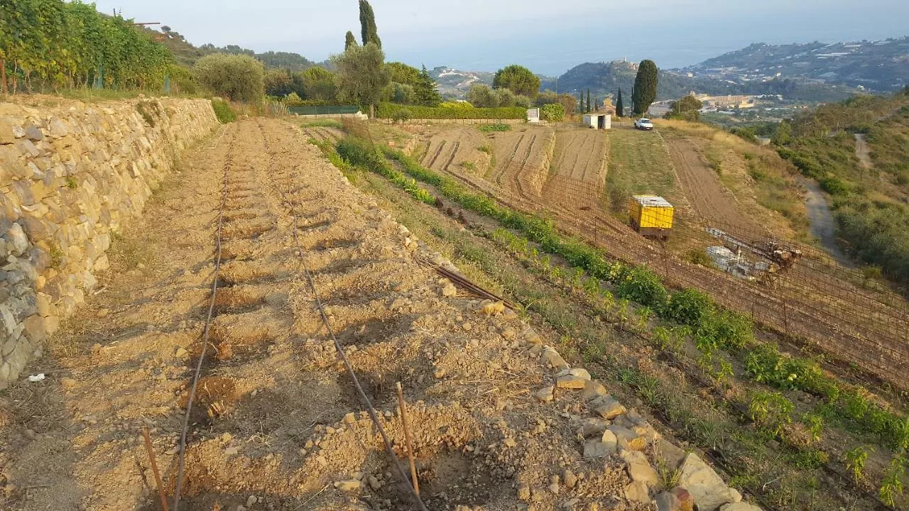 Agriturismo Sant'Anna Villa Sanremo Farm stay